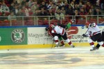 hoki01-278.jpg