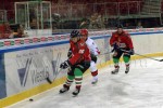 hoki01-280.jpg