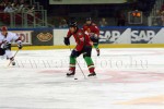 hoki01-298.jpg
