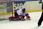 hoki01-329.jpg