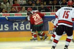 hoki01-350.jpg