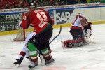 hoki01-371.jpg