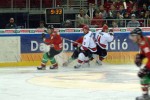 hoki01-418.jpg