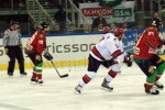 hoki01-436.jpg