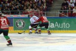 hoki01-437.jpg