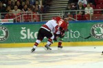 hoki01-445.jpg