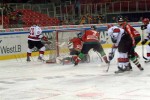 hoki01-452.jpg