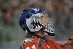 hoki01-470.jpg