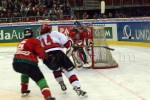 hoki01-481.jpg