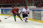 hoki01-483.jpg