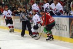 hoki01-495.jpg