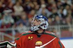 hoki01-511.jpg