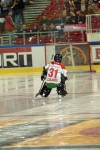 hoki01-539.jpg