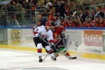 hoki01-600.jpg