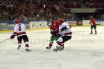 hoki01-602.jpg