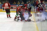 hoki01-619.jpg