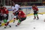 hoki01-637.jpg