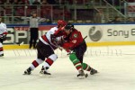 hoki01-639.jpg