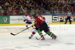 hoki01-640.jpg