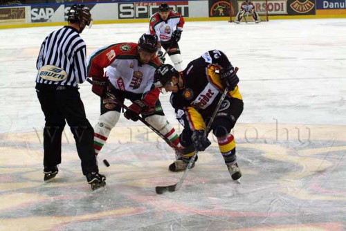 hoki03_1-113.jpg