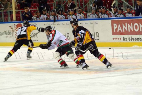 hoki03_1-125.jpg