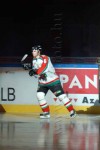 hoki03_1-018.jpg