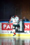 hoki03_1-019.jpg