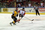 hoki03_1-101.jpg
