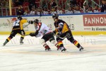 hoki03_1-125.jpg