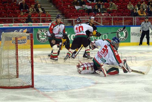 hoki03_1-186.jpg