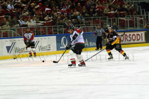 hoki03_1-211.jpg