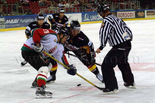 hoki03_1-225.jpg