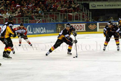 hoki03_1-230.jpg