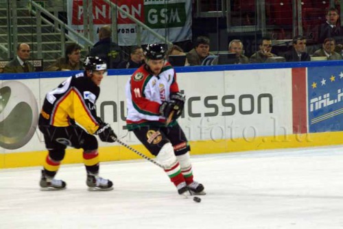 hoki03_1-266.jpg