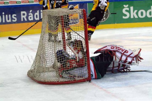 hoki03_1-276.jpg