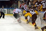 hoki03_1-192.jpg