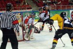 hoki03_1-255.jpg