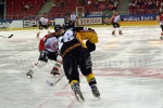 hoki03_1-338.jpg