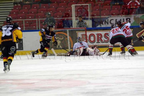 hoki03_1-356.jpg
