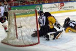 hoki03_1-388.jpg