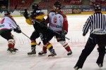 hoki03_1-391.jpg