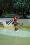 hoki02-181.jpg