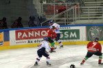 hoki02-212.jpg