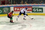 hoki02-218.jpg