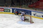 hoki02-286.jpg