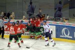 hoki02-290.jpg