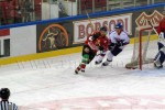 hoki02-319.jpg