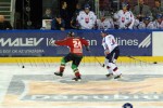 hoki02-428.jpg