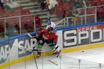 hoki02-435.jpg