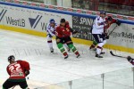 hoki02-505.jpg